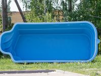 Etiam commodo convallis